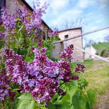Agriturismo Ca' Cecchino Apartament *